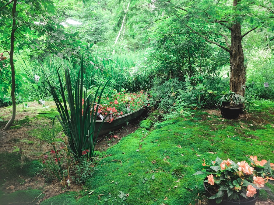 Layered backyard planting along a garden path