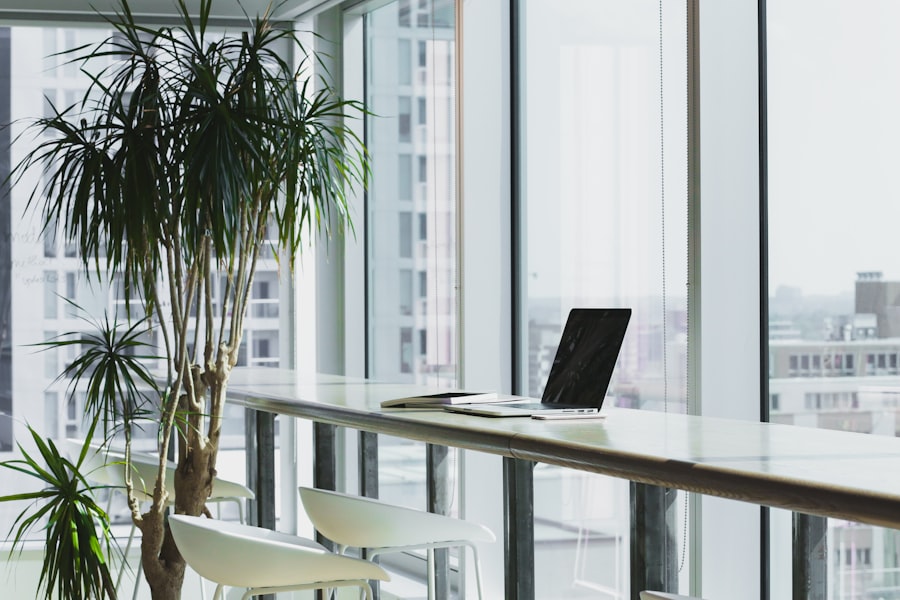 Notebook, coffee, and houseplant on a bright table