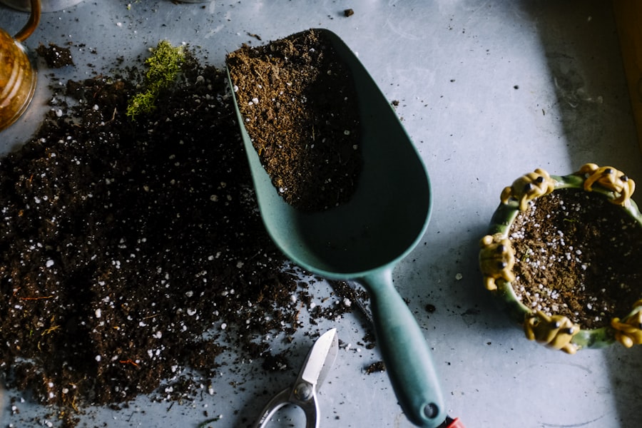 Hands planting herbs in a raised bed